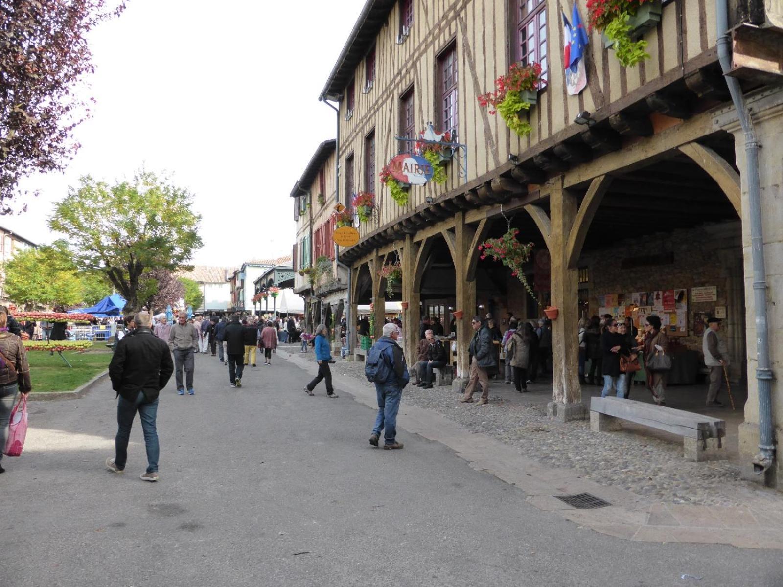 Gite De La Bastide - Typique De Mirepoix Mirepoix  Extérieur photo
